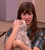 thumb_swac_0709.jpg